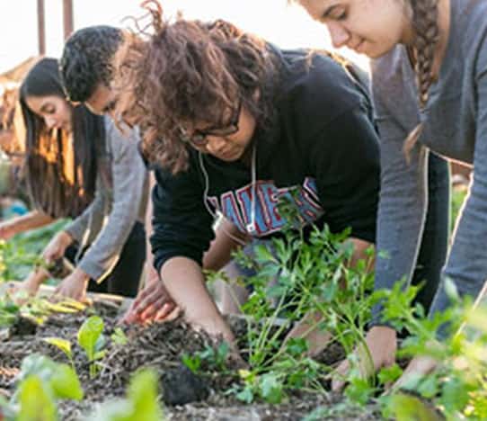 The Learning Centers at Fairplex